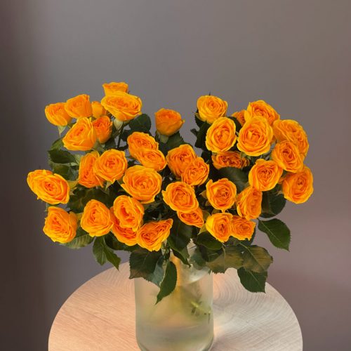 Роза оранжевая